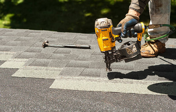 Best Roof Gutter Cleaning  in East Bangor, PA